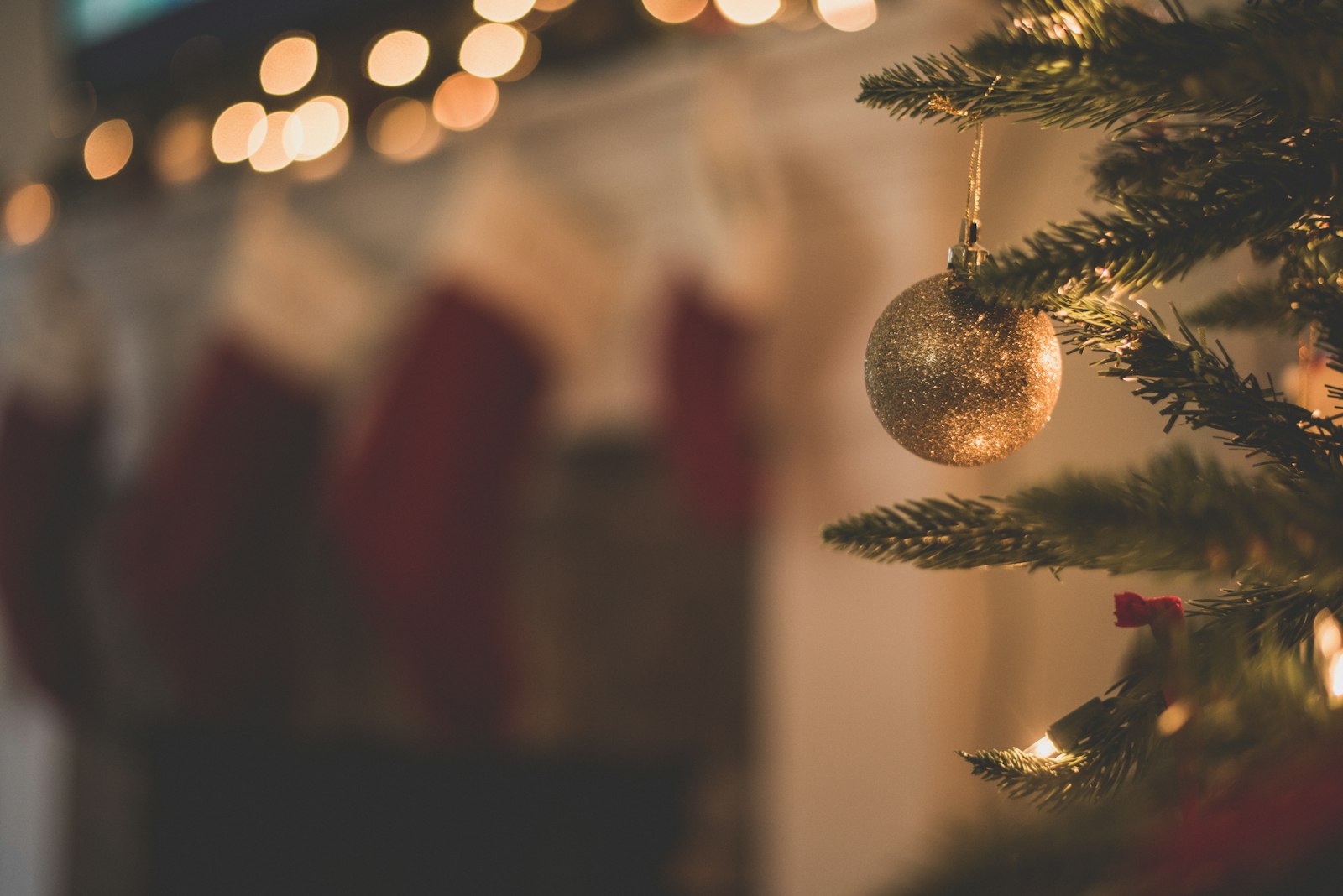 Outdoor Christmas trees covered in warm white string lights at night